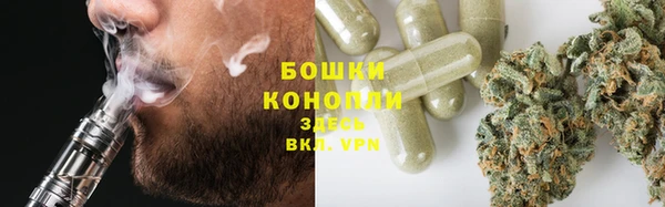винт Баксан