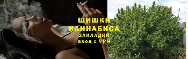 крисы Белокуриха