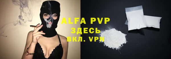крисы Белокуриха