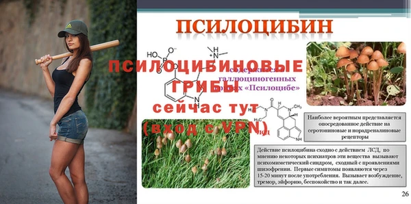 крисы Белокуриха