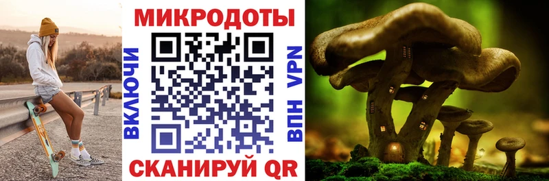 Галлюциногенные грибы ЛСД  МЕГА   Власиха 